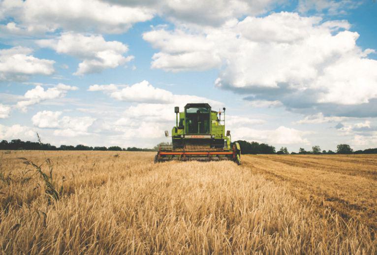 5 Dicas para diminuir custos no Agronegócio